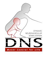 DNS_logo.jpg