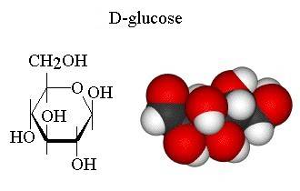 d-glucose