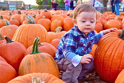 kid squatting with pumpkins